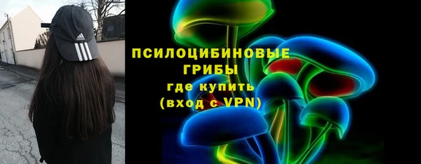 крисы Армянск