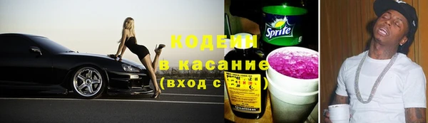 дурь Арсеньев