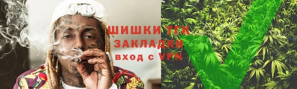 тгк Аркадак